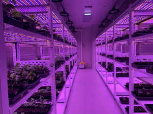 培养架型人工气候室